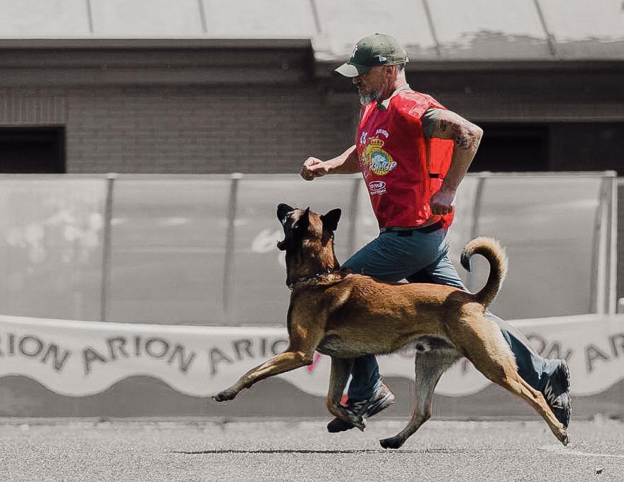 IBGH deporte canino entrenar