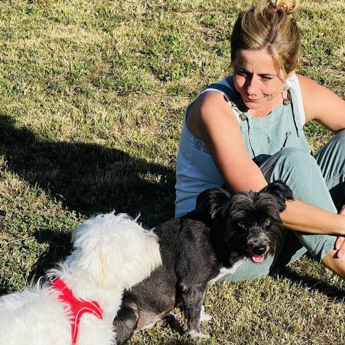 equipo llamada de buck