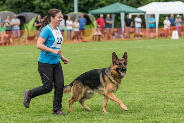 guia competa rally o deporte canino
